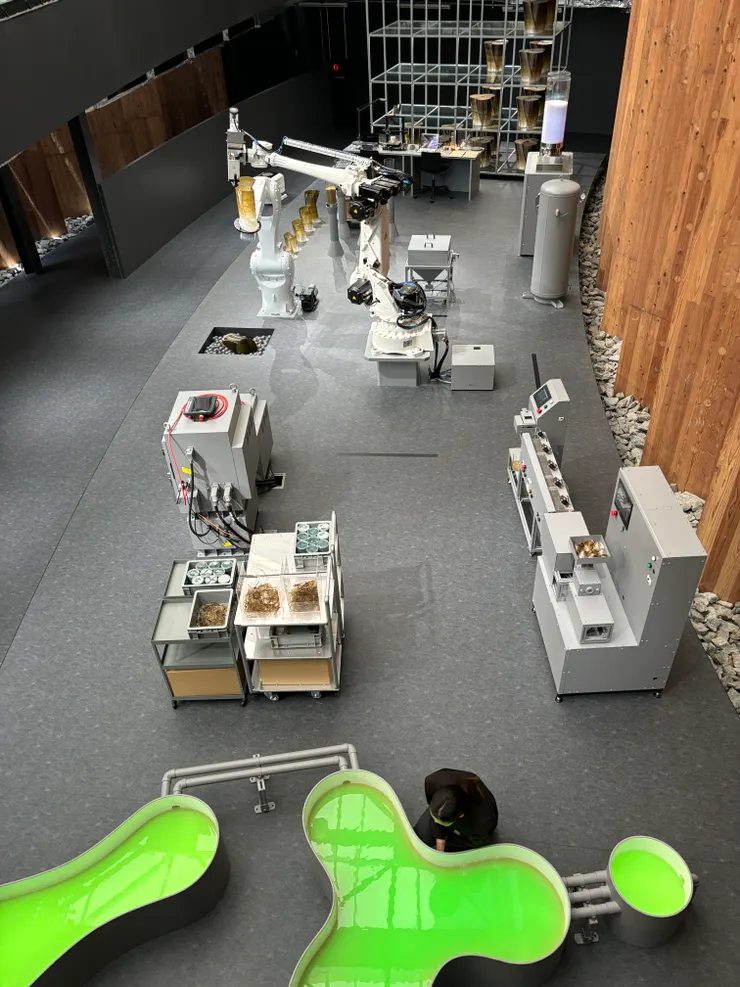 照片中綠色不規則形的即為藻類