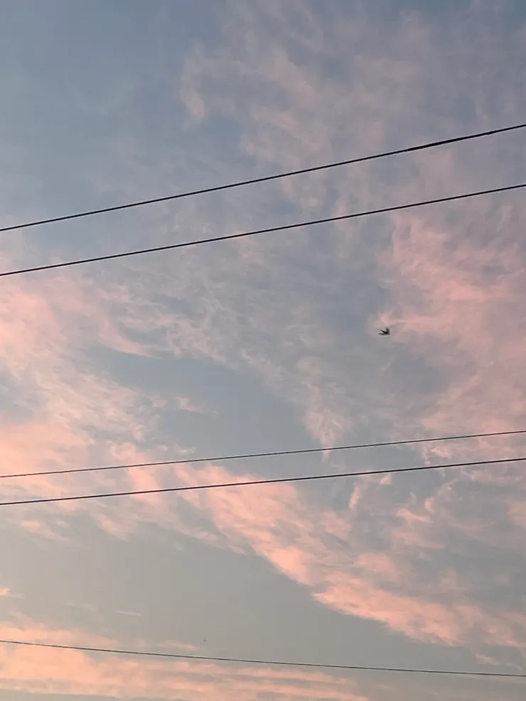 我覺得晚霞超漂亮的～