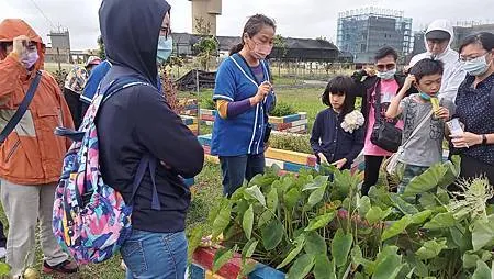 [桃園旅遊]新屋區環境教育園區、鮮活綠意向旅人招手，快來安排