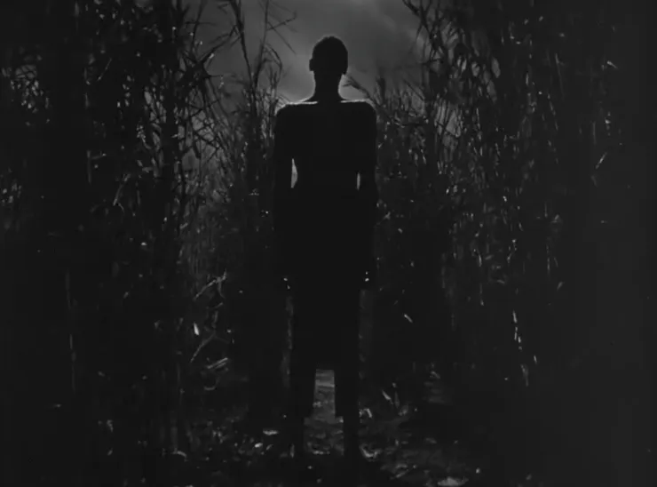 11.《與殭屍同行》（I Walked with a Zombie，1943）🇺🇸 dir. Jacques Tourneur
