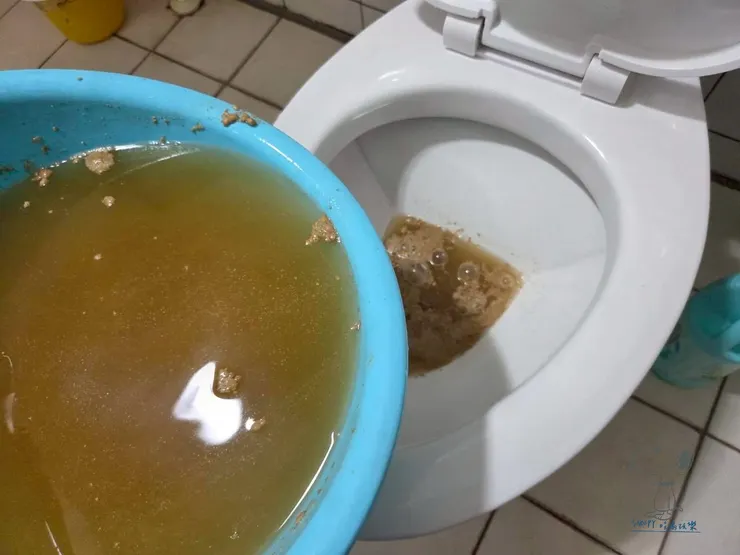 將酵素粉倒入馬桶中