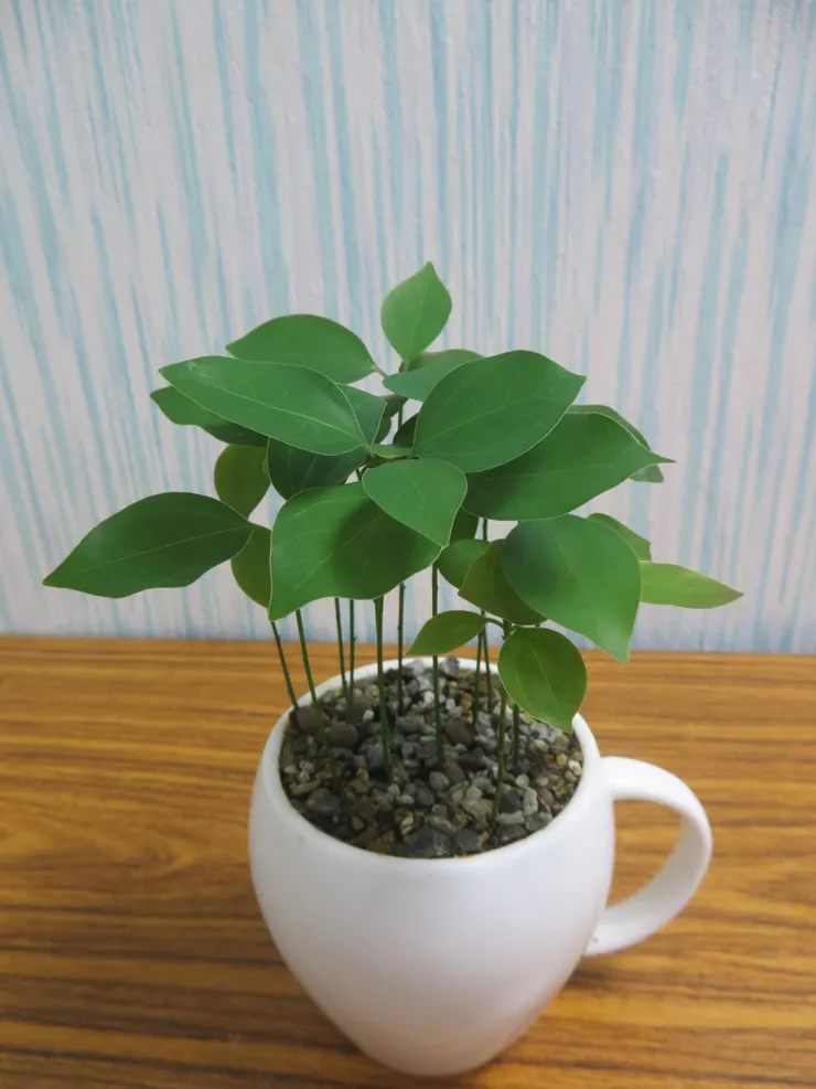 北投社大112.05.31