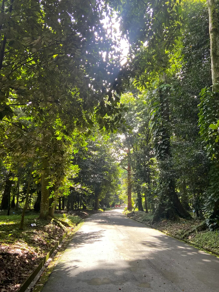 園區裡，四處都是陽光篩落的步道。