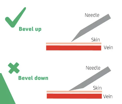 參考來源：https://www.facebook.com/PioneerVP/photos/a.233137987021029/1470633383271477/?type=3