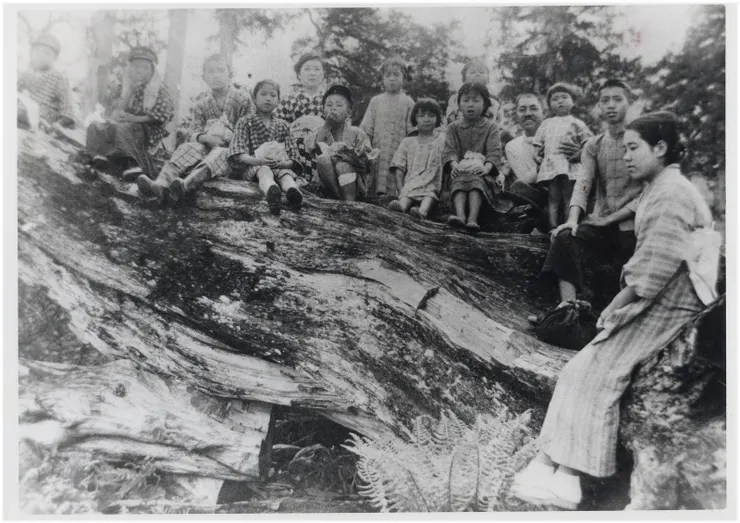(照片附註:太平山小學校參觀伐木作業,1929年舊太平山小學遠足照片。師生們一同坐在紅檜的倒木上右邊第四位為關屋校長,最右邊為鯉淵八重子老師)