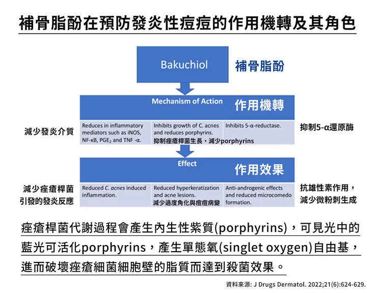 補骨脂酚保養功效有哪些？深入挑戰「補骨脂酚」的保養計畫