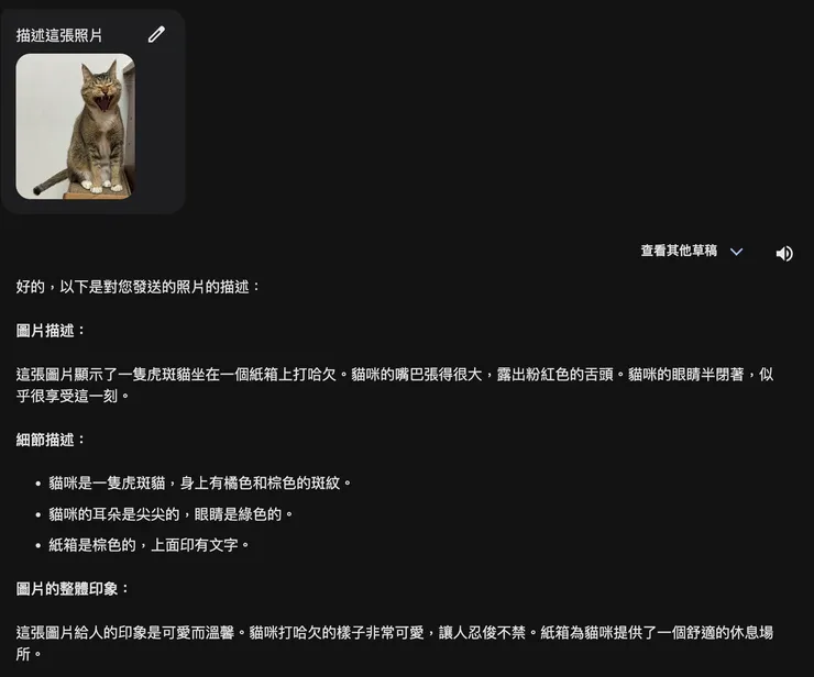 Google Gemini描述貓咪圖片