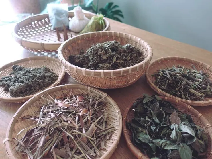 香茅、大風草、艾草、抹草