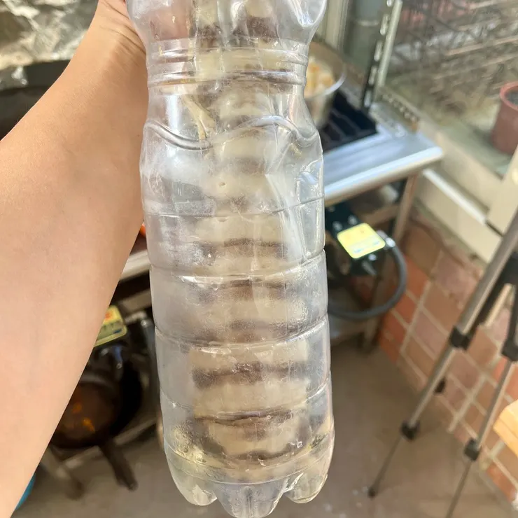 放在寶特瓶裡的螳螂蝦