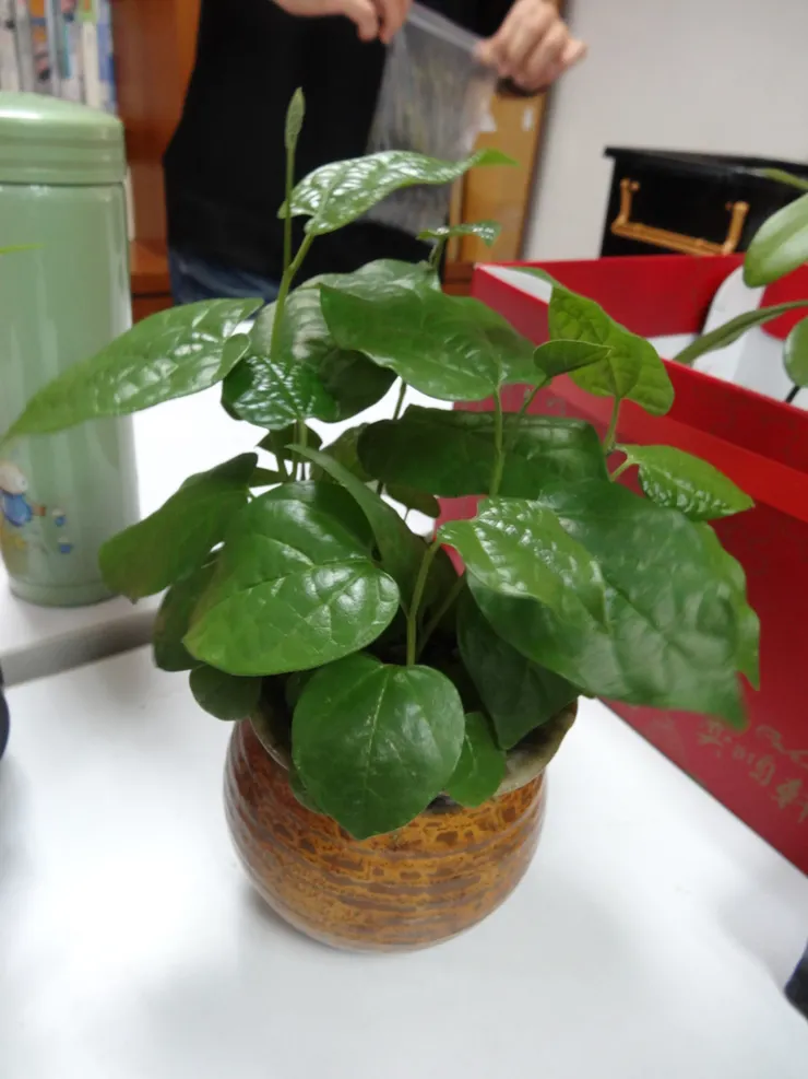 金山法鼓山104.06.29