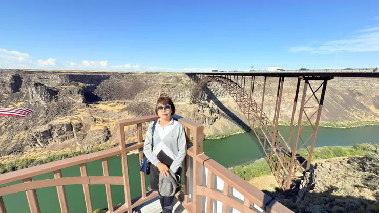 從觀景台看皮瑞尼鐵橋