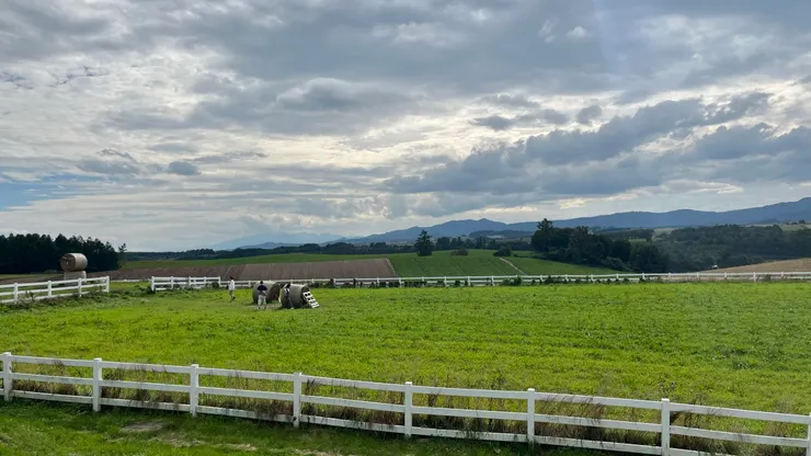 田中還有稻草捲讓大家玩耍。