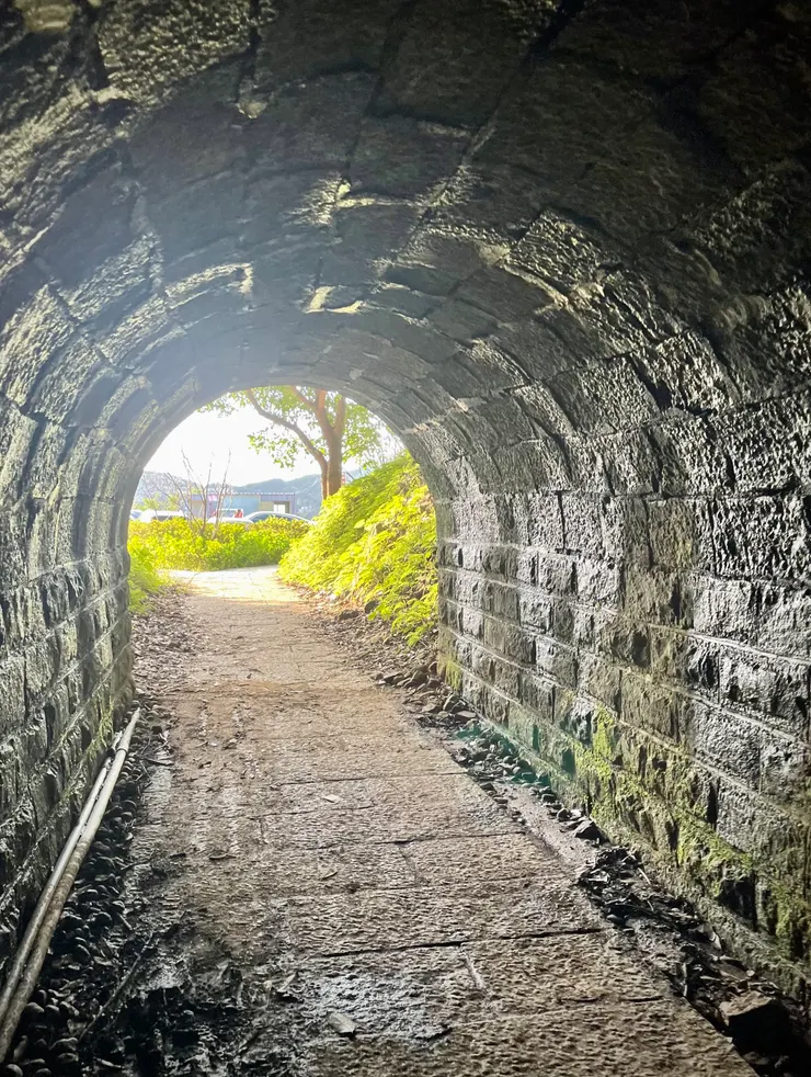 雲長亭旁的小坑道