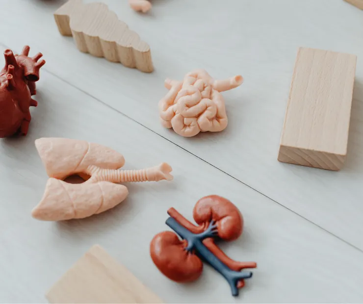 預防勝於治療：讓健康走在疾病前面！芮美娣診所陪你把關每一天！