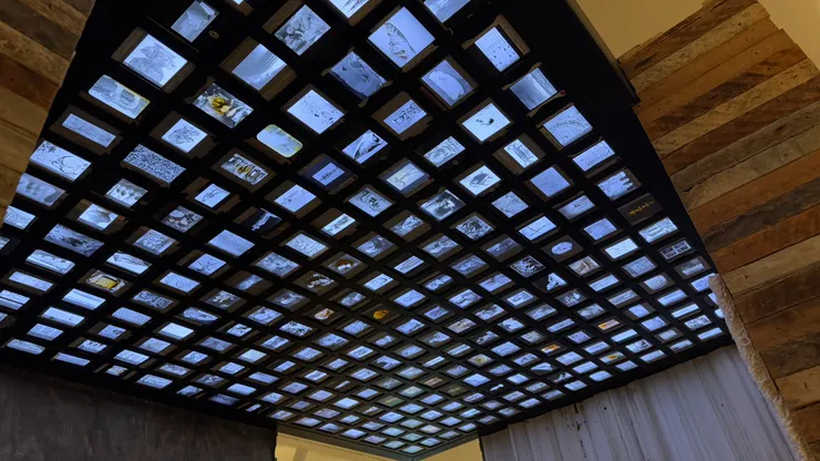 《Glass Lantern Slide Pavilion》天花板的幻燈片。（Carrie 攝影）