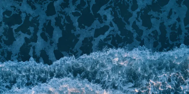 圖片來源: Canva免費圖庫