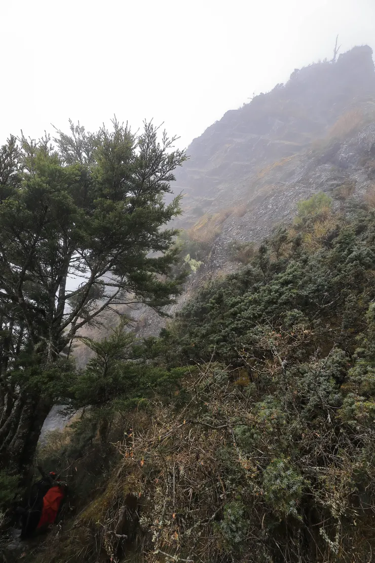 右上方最高點是小曾跌落的地方，實際墜落處在右手邊畫面外，可以看出坡度十分陡峭，左下角樹下是他分離的背包。