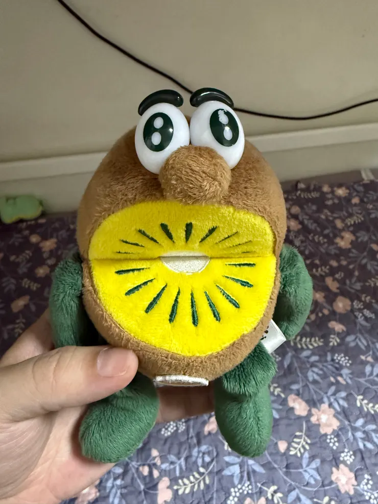 2025/10/25 大姊兒子床上的玩偶