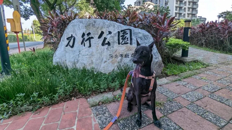 2. 新北景點：林口（力行寵物公園）
