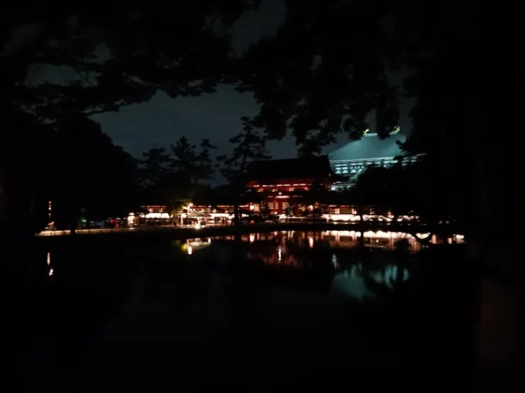 萬燈供養的夜色