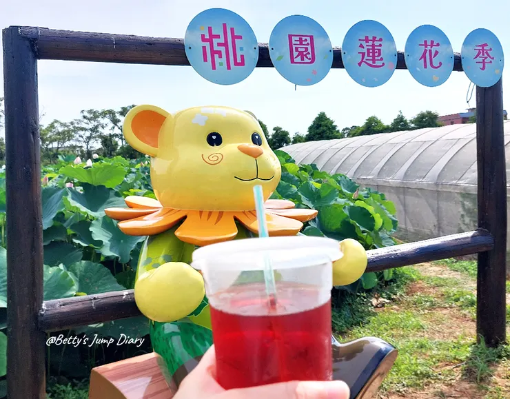 ▲2024桃園蓮花季/圖片來源:Betty's Jump Diary
