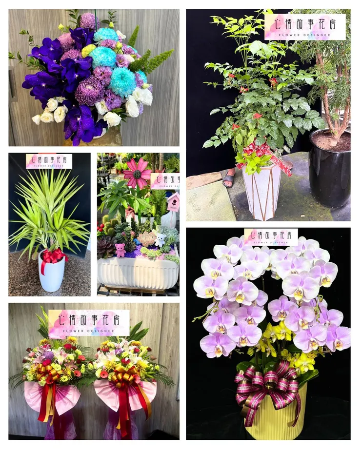 台南安南區必逛花店|心情故事花房|蘭花、多肉、永生花、罐頭塔,應有盡有!