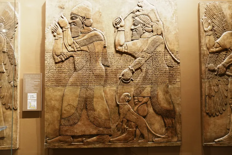 這是什麼寵物概念嗎？