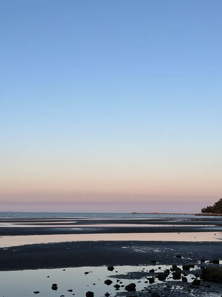 往後看的樣子!!