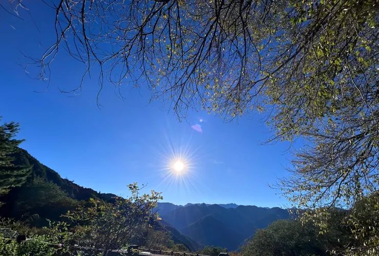 （觀霧國家森林遊樂區）