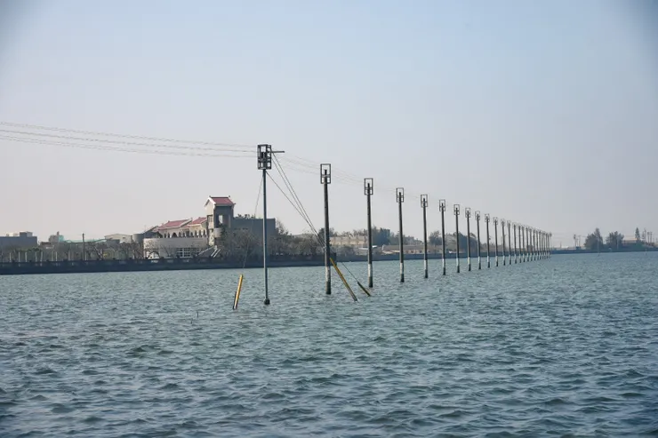 湖口湖濕地（成龍濕地）的電線桿