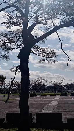 [宜蘭旅遊]宜蘭運動公園，運動設施機能完善、大面積、風景特佳