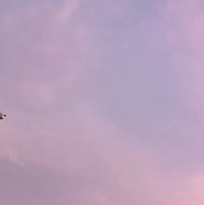 歡迎追蹤我的日常