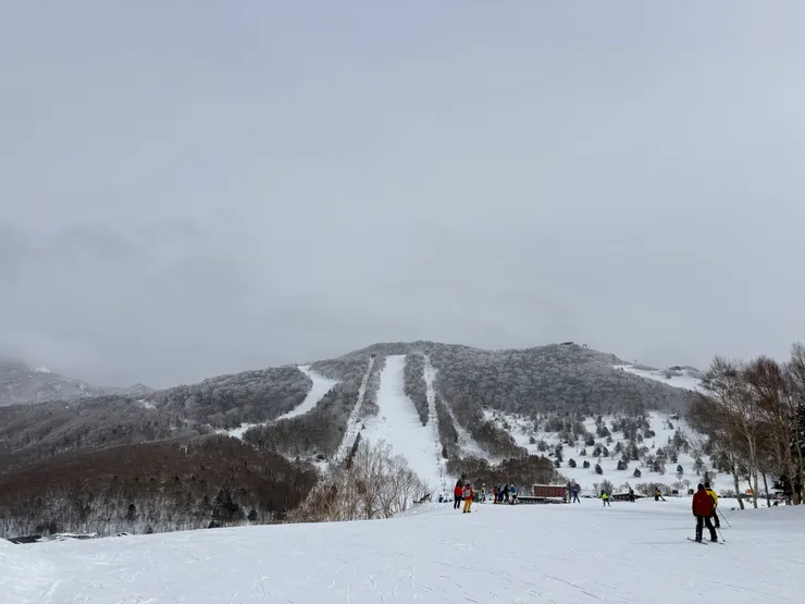 家族