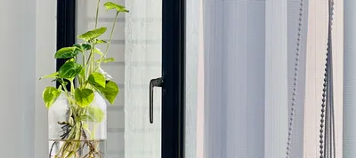 ㄙㄩㄌ的碎碎念雜記