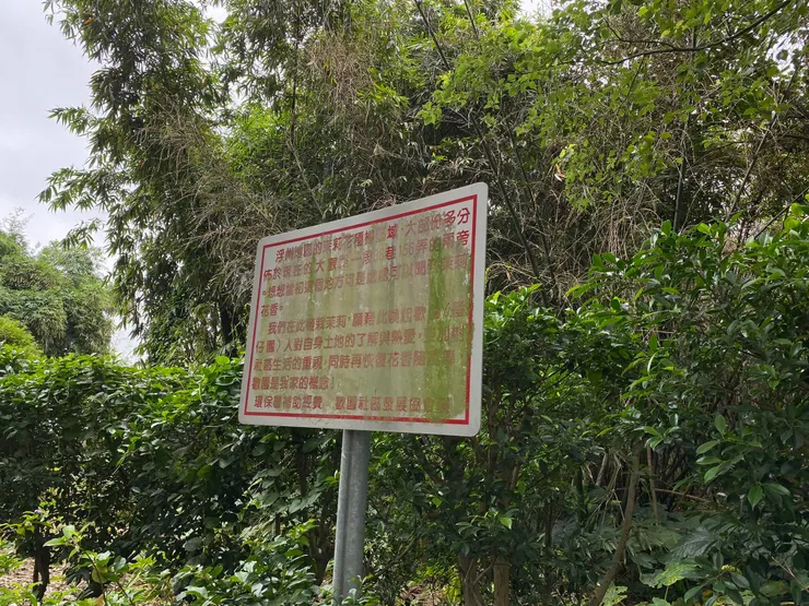 路旁有一面告示牌,說明浮洲地區曾是茉莉花的種植區。多分布於現在的大觀路一段38巷156弄兩旁。