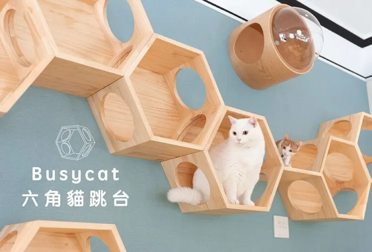 myzoo 動物緣