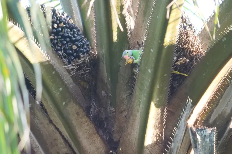 “看我的小腳多靈活!“