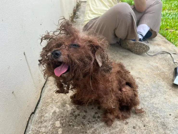 我見到多比的第一眼