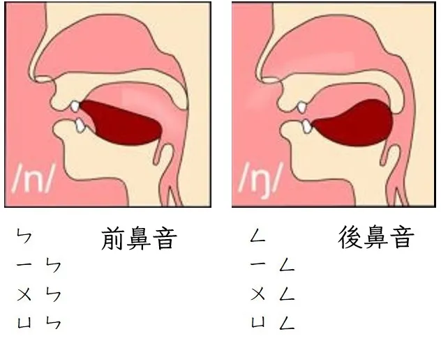 前後鼻音舌尖位置