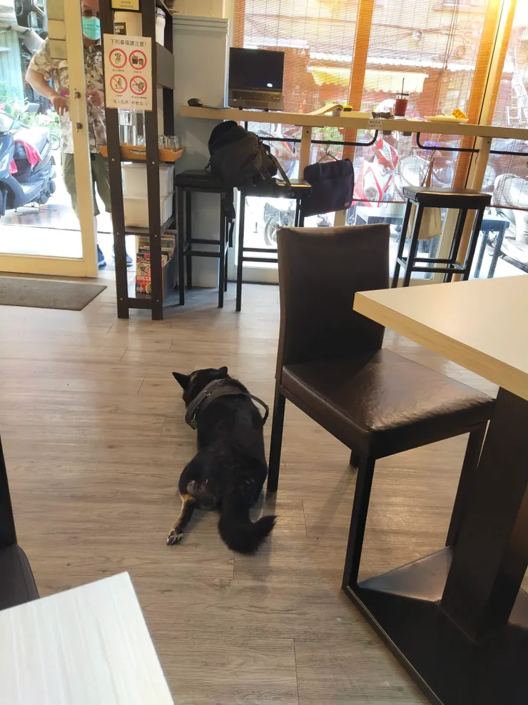 店狗累了，休息一下
