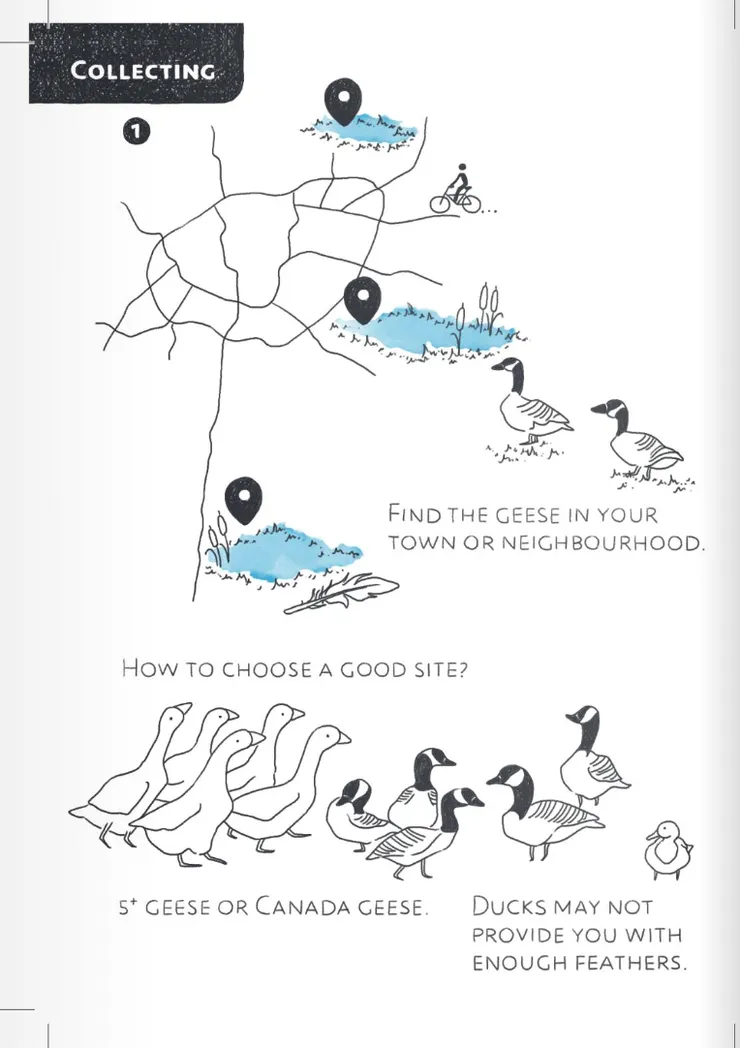 圖片取自自製羽絨衣指南的其中一頁