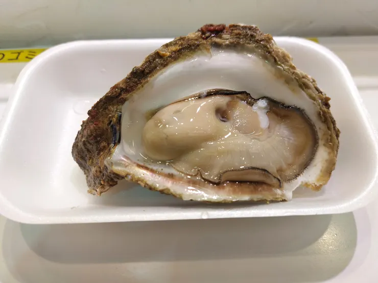 這個是直接當場選想要吃的牡蠣，然後老闆直接開給你吃，這邊的牡蠣真的鮮甜，沒什麼腥味，而且只要日幣1000，有夠讚