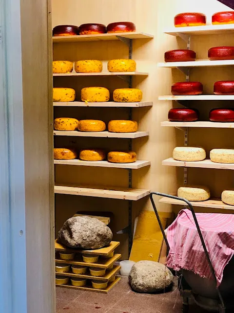 架上展示的多種口味乳酪 		