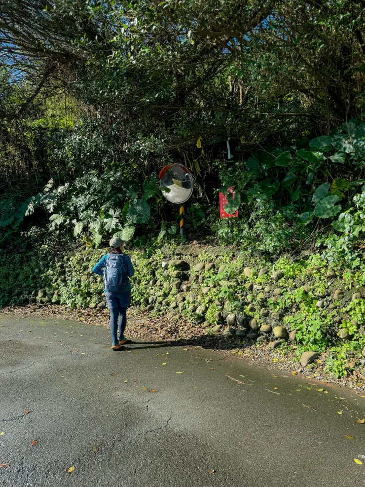 洞頂路登山口