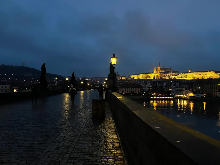 往回走的時候雲霧散開也點上了燈