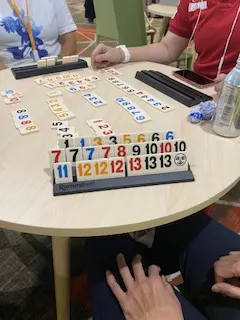 新加坡國民運動遊戲