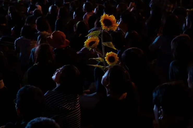 照片取自Lam Yik Fei臉書