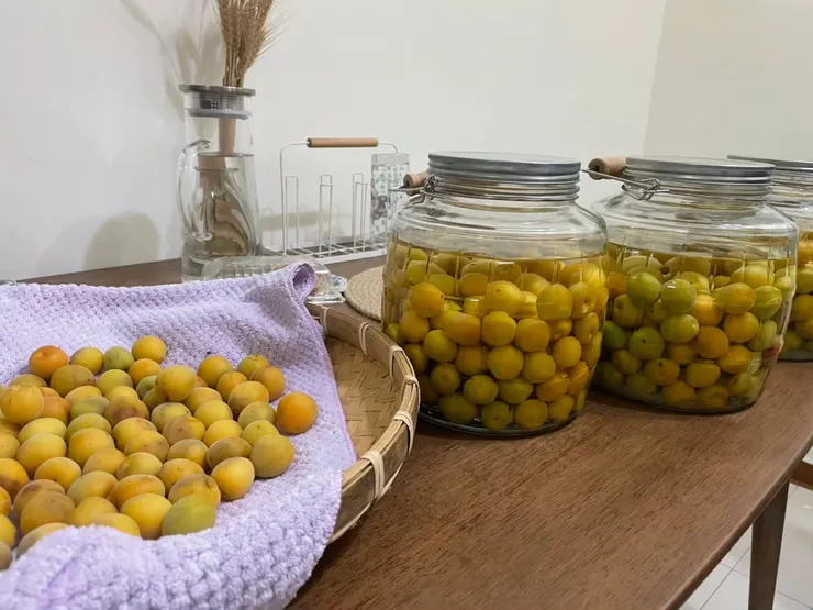 在大師的指點及照顧下第一次做梅酒