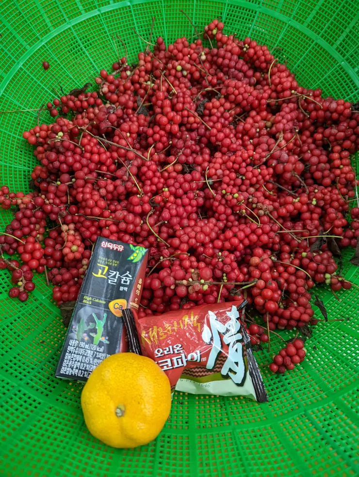 師姐的愛心：橘子、豆奶、巧克力派