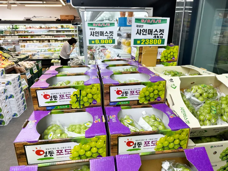 2kg9,900韓元，幾乎就是一串葡萄才100多台幣